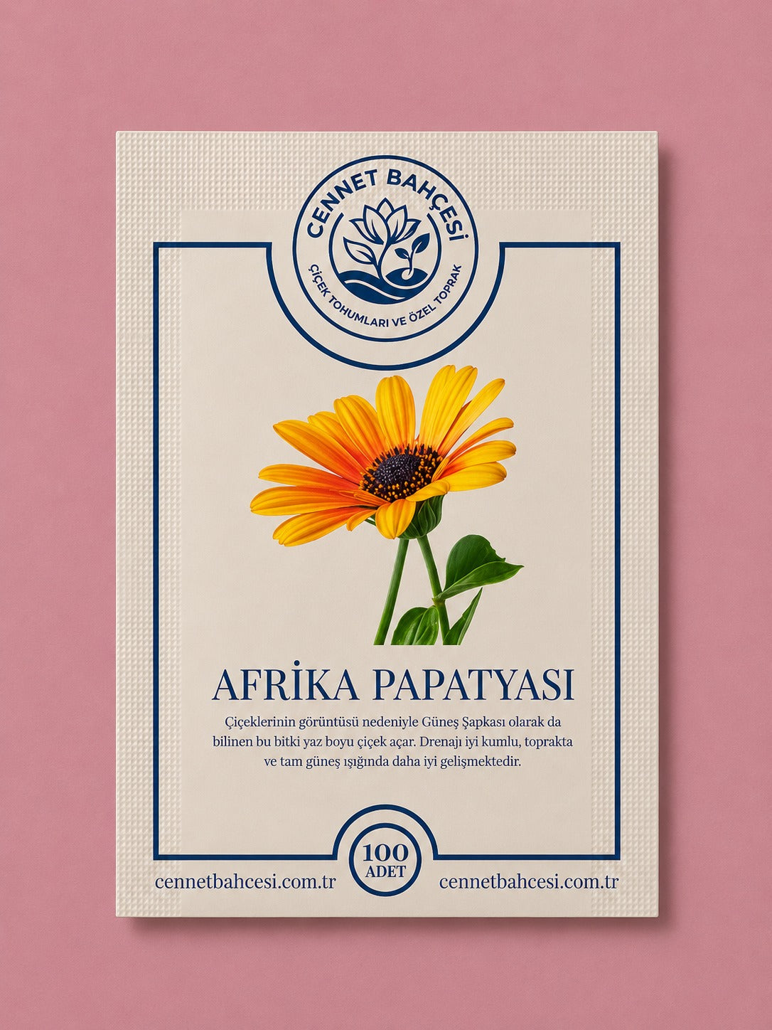 Cennet Bahçesi Afrika Papatyası Çiçek Tohumu (100'lü Paket)