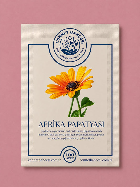 Cennet Bahçesi Afrika Papatyası Çiçek Tohumu (100'lü Paket)