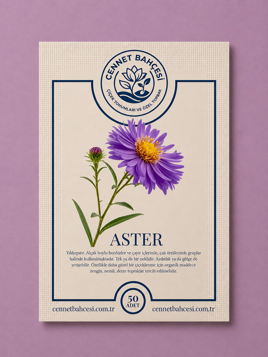 Cennet Bahçesi Aster Çiçek Tohumu (50'li Paket)