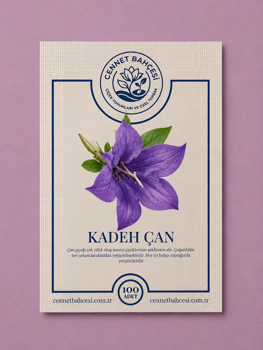 Cennet Bahçesi Kadeh Çan Çiçek Tohumu (100'lü Paket)