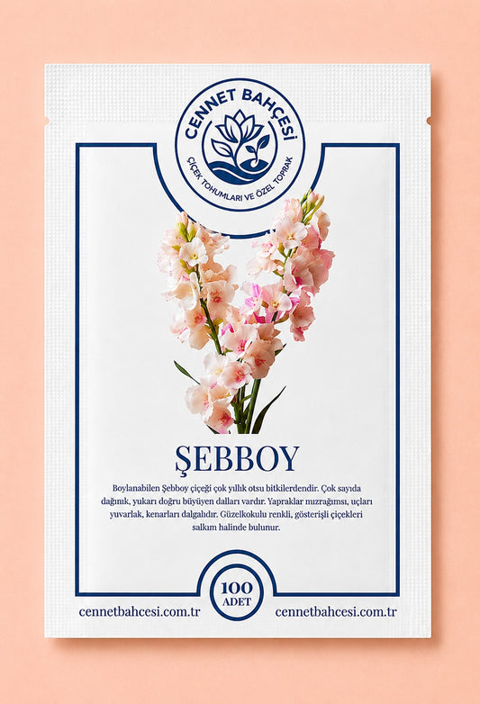 Cennet Bahçesi Şebboy Çiçek Tohumu (100'lü Paket)