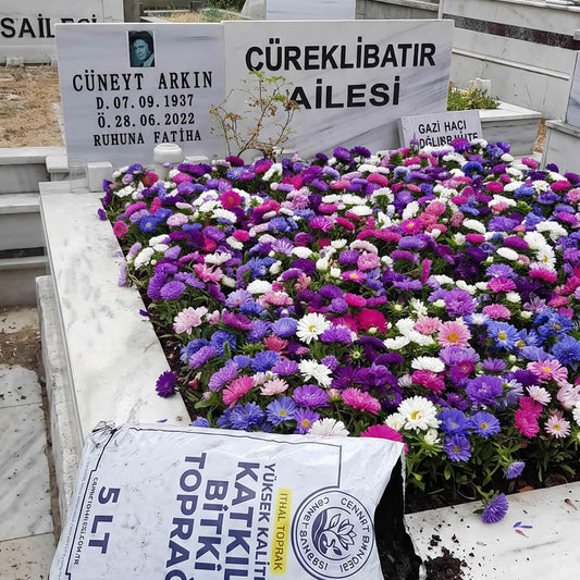 100 Çiçek Tohumlu 5 Litrelik Katkılı ve İthal Toprak