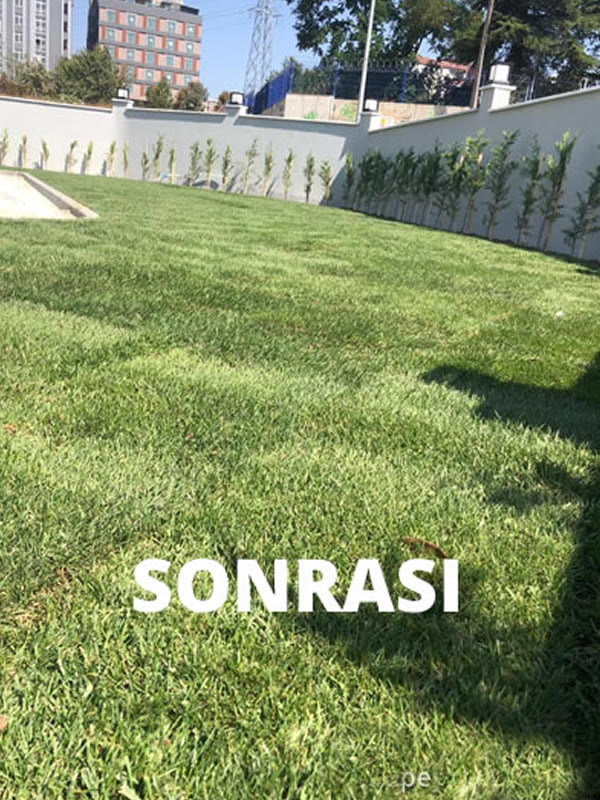 Villa bahçesi uygulama öncesi
