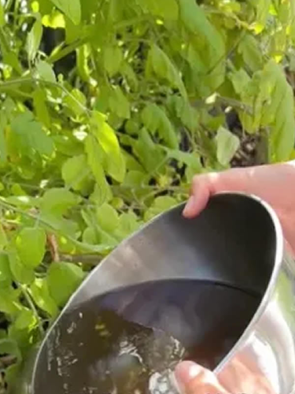 Tarla uygulama sonrası